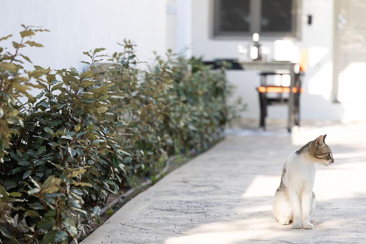 White Pearl Villa Naxos With Private Swimming Pool Naxos City Exterior foto